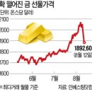 커피시그널