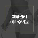 바디라인 티스토리