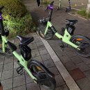 주영수지 | "8월 일상로그📒 [회식·데이트·모임들] 총정리"