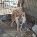 대조농장 이미지