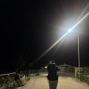 메디팜포도마을약국 | 산티아고 순례자의 길(4) 팔라스데레이에서 아르수아 근데 이제 멜리데를 거친/멜리데 뽈뽀 맛집/순례자...
