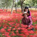 영광상사 이미지