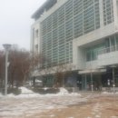 플로리안플라워