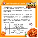 용인대학교 스타태권도장 이미지