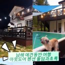 돌담과 초록 이미지