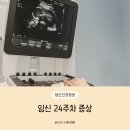 별하중기 | 임신 24주 차 증상 배 크기 몸무게 배뭉침 아랫배 통증