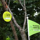 그냥 카페(그냥 cafe) 이미지