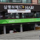 사파동070 이미지