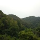 정촌면-1 이미지