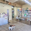 디디동물병원 이미지