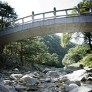 용추자연휴양림야영장 이미지