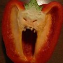 크레센트421 이미지