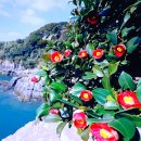 여수 가볼만한곳 <b>베스트</b>10 /예매부터 코스 소개까지