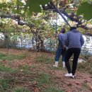 희망농원 이미지