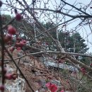 진신산업 이미지