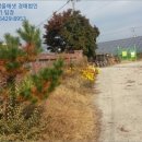 남산리 입석 이미지