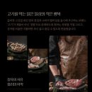 돈우미트