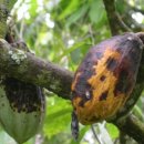 생태와 기후변화이야기 이미지