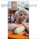 꽁이랑