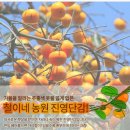 철이네농원 이미지
