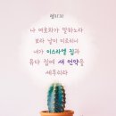 법인백성 이미지