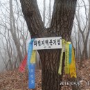 명석목장 Daum카페