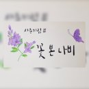 꽃본나비