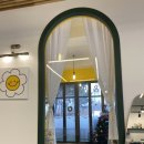 멜리애견유치원 이미지