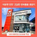 인천 강아지분양 고양이분양 미유펫 이미지