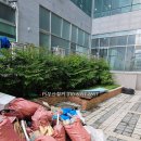 푸라닭 부산 오시리아 네이버블로그