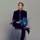 데일리코리아