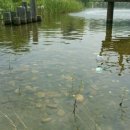 서두물공원 이미지