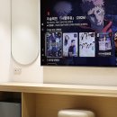 브라운 도트 이미지