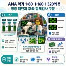ANA메디컬 티스토리