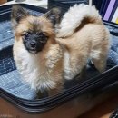 워너비치과의원 이미지