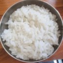 수누리뼈다귀 이미지