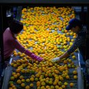 제주남원농협사업소 이미지