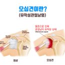 단대오거리정형외과의원 이미지