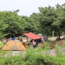 고래농장 이미지