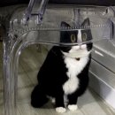 남부철물점 이미지