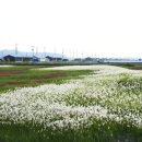 인생극장 이미지