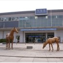 부곡리 마을회관 | [20120528]녹양역에서 홍복저수지 거쳐 한강봉에 올라 크라운제과임도 따라 부곡리까지 걷기-1부