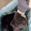 삼광농장 이미지