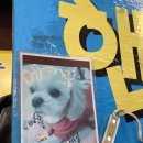 인화공인중개사사무소 이미지