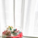 인천경연초등학교 이미지