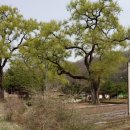 금계뜰마을 이미지