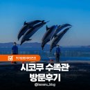 돌고래카 | 다카마쓰 근교 우타즈역 시코쿠 수족관 방문 돌고래쇼 후기