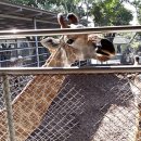 화실농장2 이미지