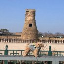 다옴 애견동반 펜션 이미지