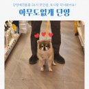 24시무인애견간식아무도없개 - 전주시 덕진구 오공로 43-52 | 아무도없개 단양애견용품 24시 무인운영샵 리얼리뷰